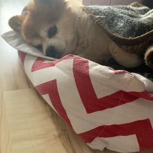 Meet your Posher, Patricia